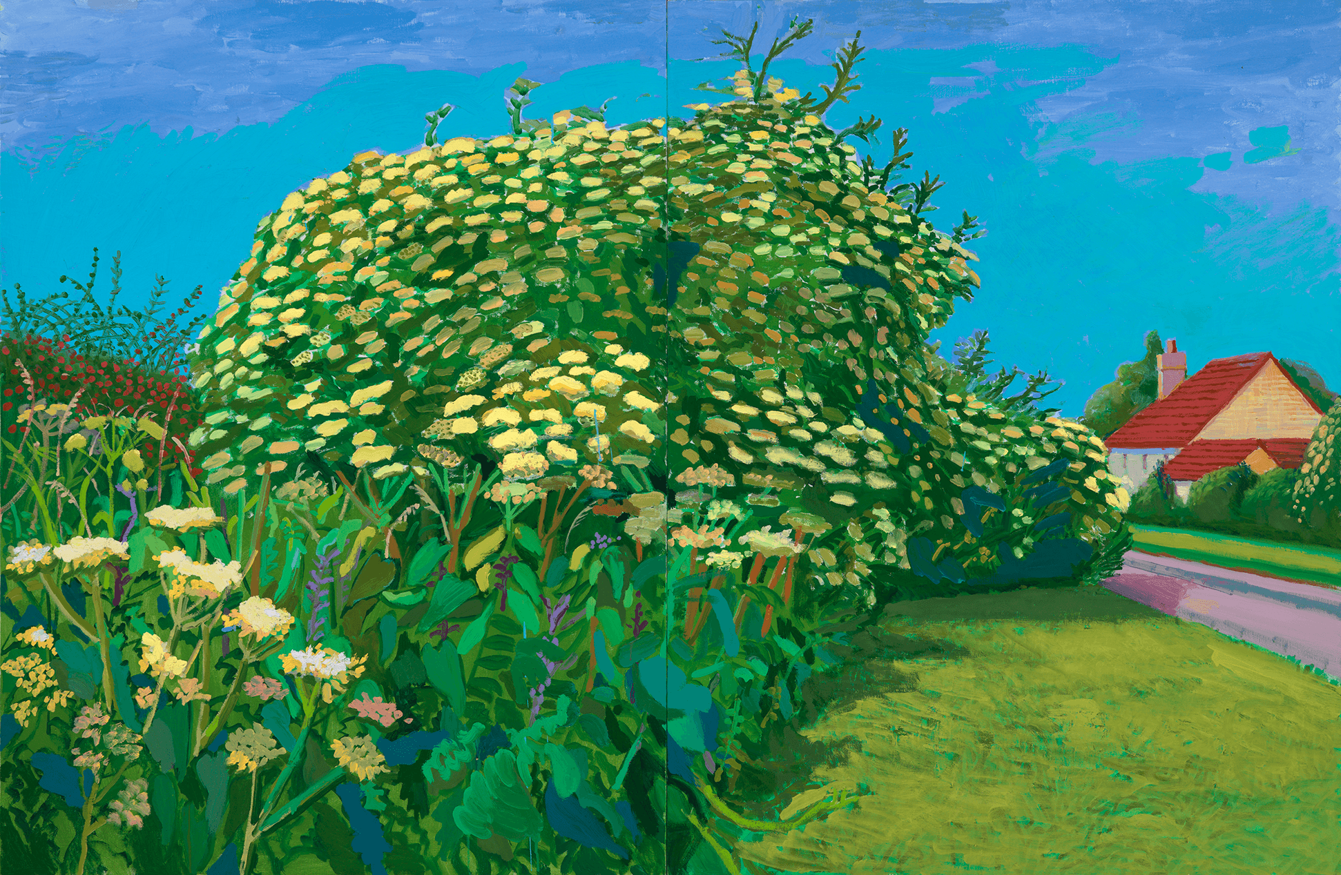 A vibrant painting of a large shrub with clusters of yellow-white flowers by a road, with green grass, a blue sky, and a house with a red roof in the background.