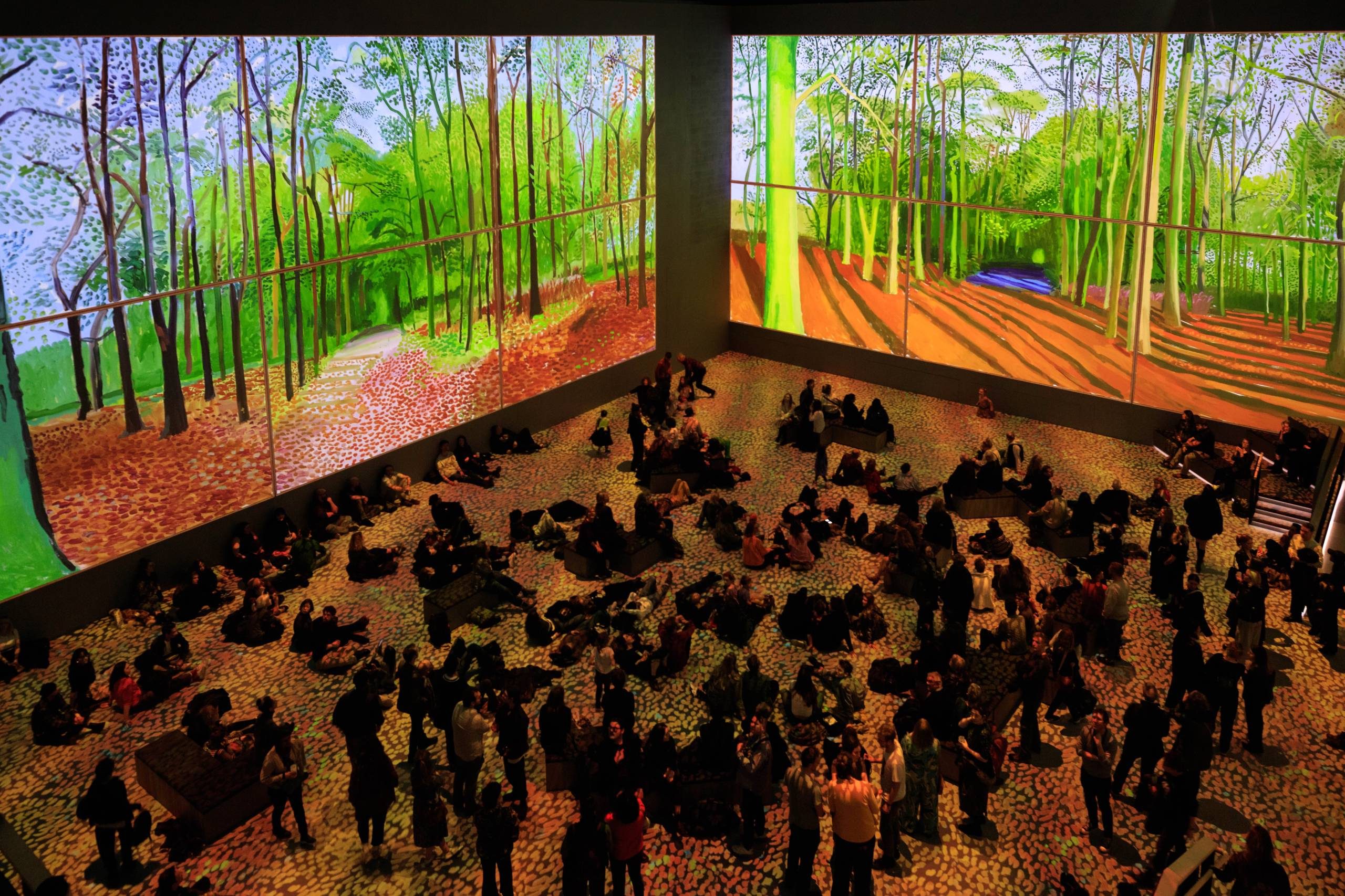 A crowd sits and stands in a dark room, watching large digital projections of lush, green forest scenes on two walls. The floor and walls are decorated in patterns that complement the artwork.